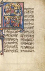 Initial N- Vidal de Canellas Erbjuder sin text till King James